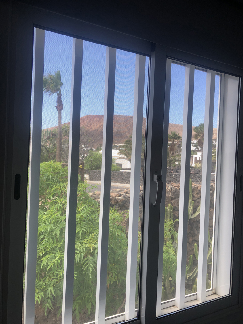 window